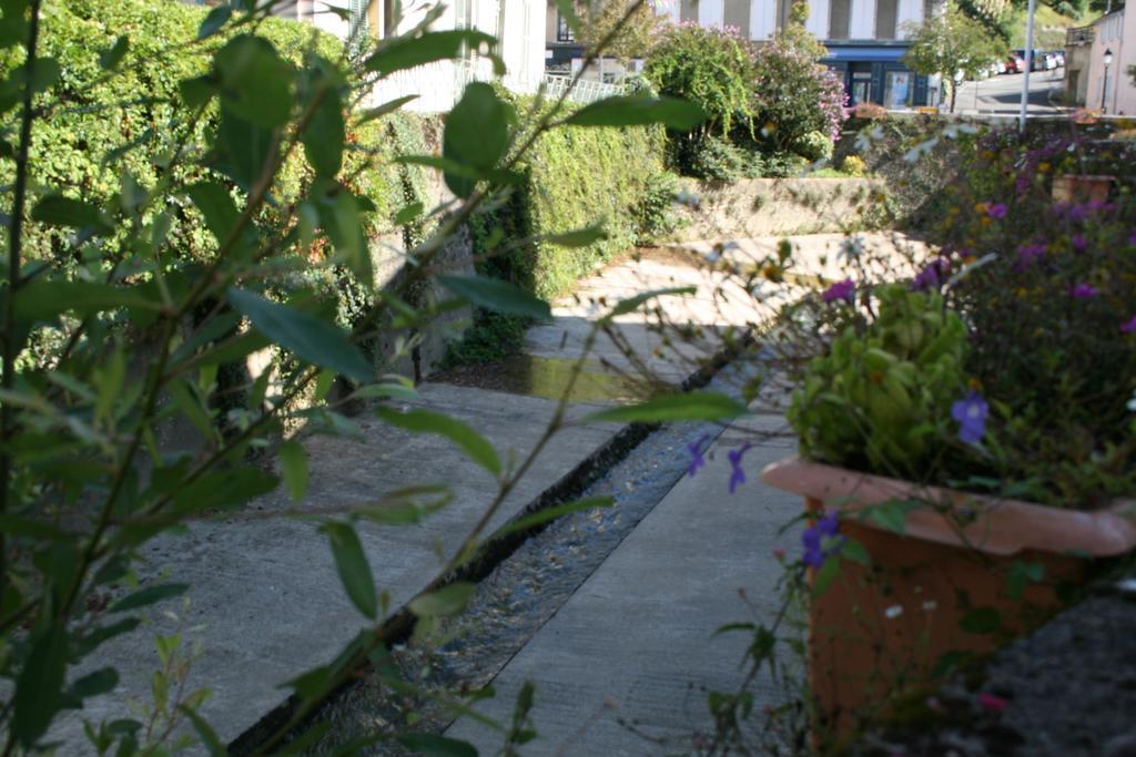 Studio Le Nid Du Saleys Apartment Salies-de-Béarn Cameră foto